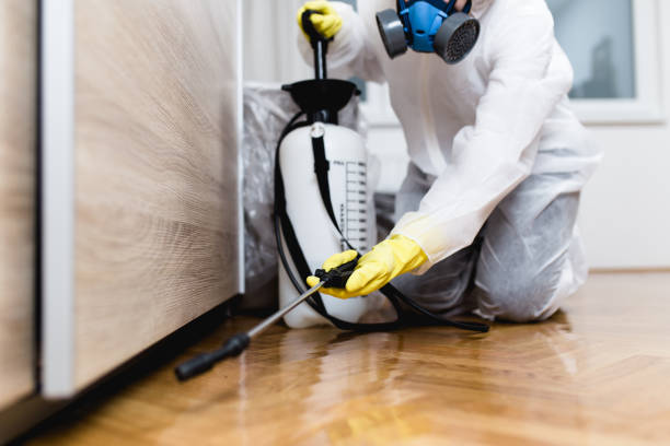 Best Pest Control Treatment  in Creve Coeur, IL