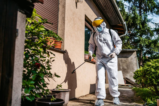 Best Bird Control  in Creve Coeur, IL