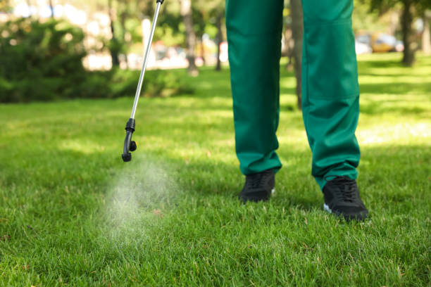 Best Local Pest Control Services  in Creve Coeur, IL