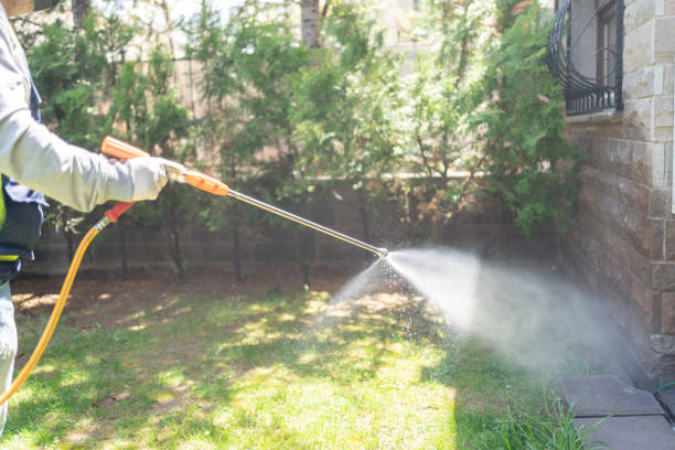 Best Best Pest Control Companies  in Creve Coeur, IL