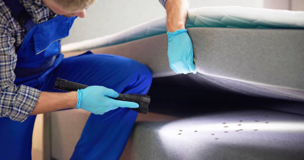 Best Cockroach Control Services  in Creve Coeur, IL