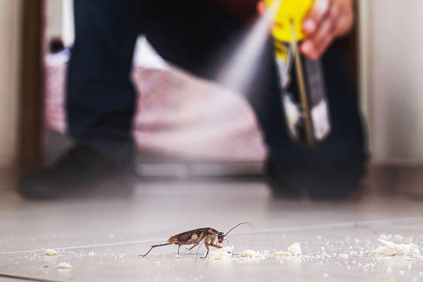 Best Mosquito Control Services  in Creve Coeur, IL