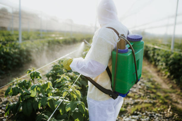Flea Control Services in Creve Coeur, IL